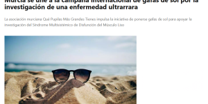 la_opinion_murcia_noticia_que_pupilas_msmds_acta2_